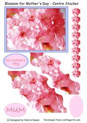 Blossom for Mother's Day - Central Stacker