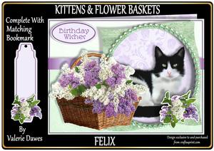 Kittens & Flower Baskets Aperture Mini Kit - Felix