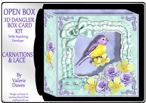 Open Box 3D Card Kit - Carnations & Lace