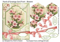 Pearls & Pyramage - Blossom