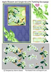 Apple Blossom and Songbirds with Tumbling Decoupage