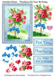 Standard Rose - Thankyou/on Your Birthday