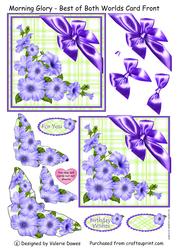 Morning Glory - Best of Both Worlds Card Front