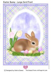 Easter Bunny - Large Card Front