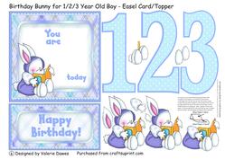 Birthday Bunny for 1/2/3 Year Old Boy - Easel Card/topper
