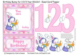 Birthday Bunny for 1/2/3 Year Old Girl - Easel Card/topper