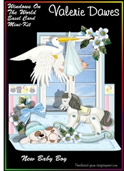 WINDOWS ON THE WORLD - New Baby Boy