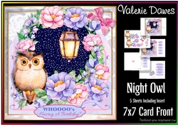 7x7 Card Front - Night Owl