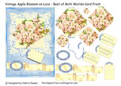 Vintage Appleblossom on Lace- Best of Both Worlds Card Front