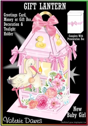 GIFT LANTERN & PRESENTATION BOX KIT - New Baby Girl