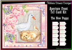 APERTURE FRONT 7x7 CARD KIT - The New Puppy
