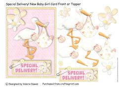 Special Delivery! - New Baby Girl Card Front