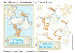 Special Delivery! - New Baby Boy Card Front