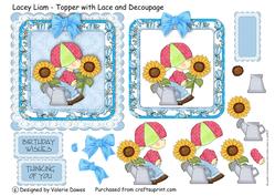 Lacy Liam - Topper with Lace Border & Decoupage