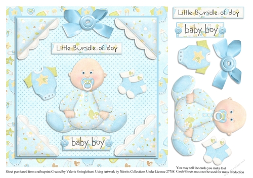 Baby Boy A little bundle of joy