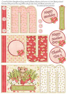 Mum Book Sheet for Various Occasions