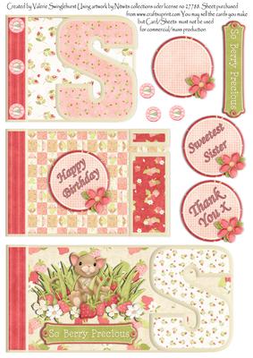 Sis / Sister Book Sheet for Various Occasions