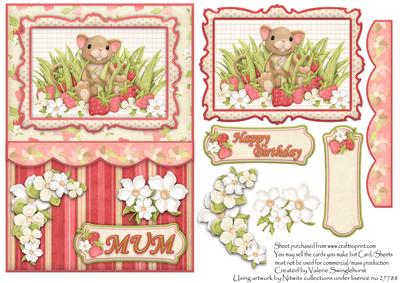 Strawberry Mouse Framed Mums Birthday Card Front