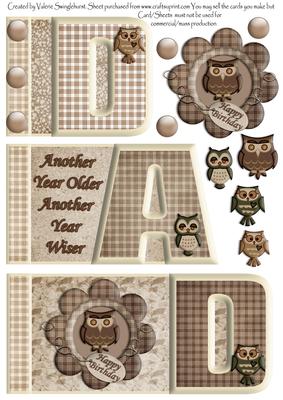 Another Year Older Wise Owl Word Book
