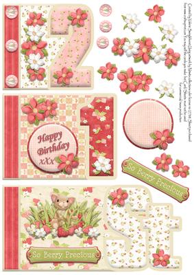 Strawberry Mouse 21st Birthday Number Book