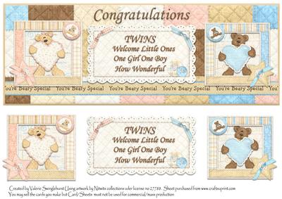 Congratulations Twins One of Each Boy/girl