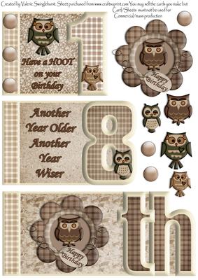 Have a Hoot on Your Birthday Owls18th Book Sheet