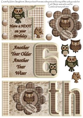 Male 16th Number Book Have a Hoot on Your Birthday (owls)