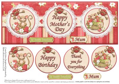 Mother's Day,birthday or Thank You Dl Card Front