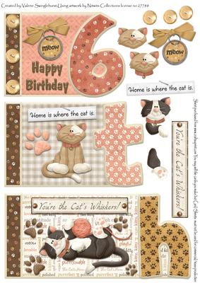 Cats Whisker's 6th Happy Birthday Book Sheet