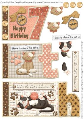 Cats Whisker's 7th Happy Birthday Book Sheet