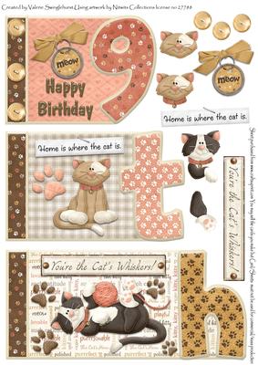 Cats Whisker's 9th Happy Birthday Book Sheet