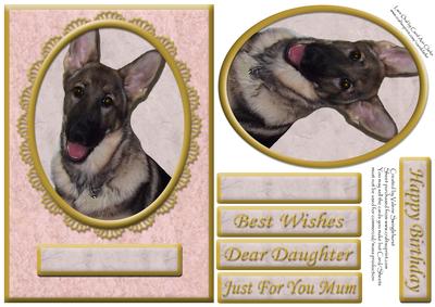 German Shepherd Pink/gold Various Occasion Card