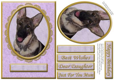 German Shepherd Purple/gold Various Occasion Card