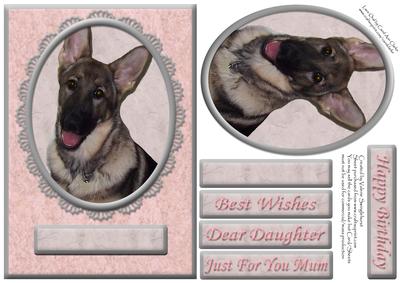 German Shepherd Pink/silver Various Occasion Card