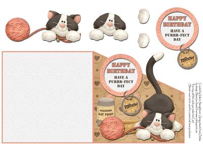 Have a Purrr-fect Birthday Over Edge Cat Card