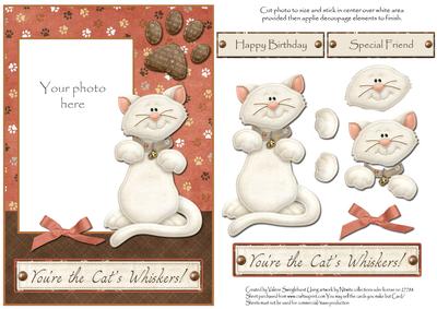 Cat's Whisker's Photo Card Front with Decoupage