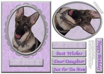 German Shepherd Purple/silver Various Occasion Cut & Fold