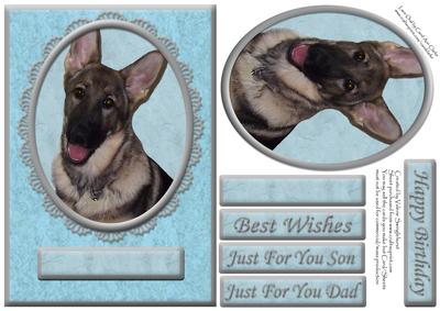 German Shepherd Blue/silver Various Occasion Card