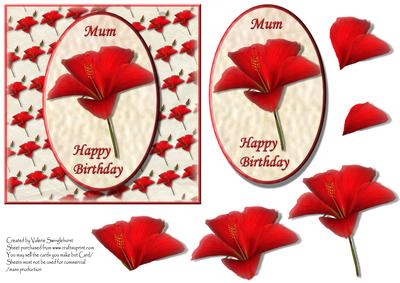 Red Hibiscus Happy Birthday Mum Quick Card Front