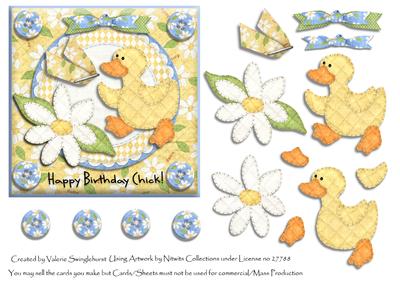 Happy Birthday Chick! Cute Card Front