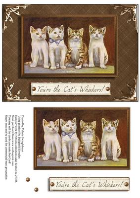 Attention You're the Cat's Whisker's! Vintage Card Front