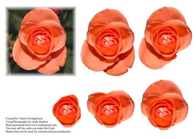 Floral Decoupage Sheet for Your Card Making