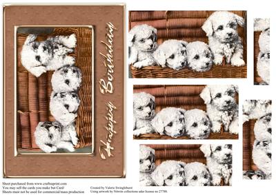 4 Cute White Puppies in a Basket Pyramid Card Front