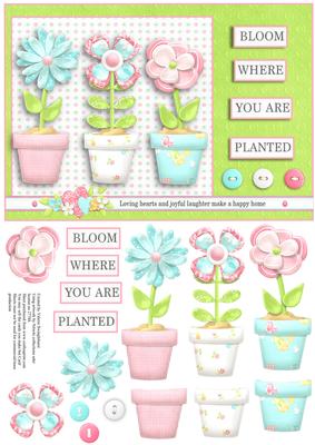 Bloom Where You Are Planted Floral Card Front