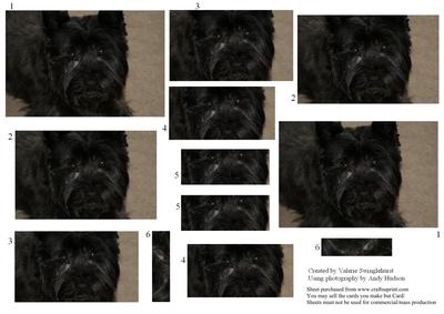 Little Black Terrier Dog Pyramid 2 on a Sheet