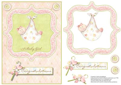 A Baby Girl Congratulations Card Front