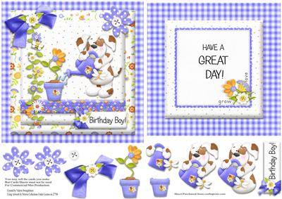 Birthday Boy! Have a Great Day Quick Card Front & Insert