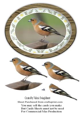Chaffinch Garden Bird in a Wooden Plaque Decoupage Topper