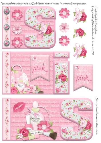 Always Look on the Pink side of life SIS Word Book