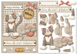 A5 Birthday Card Front You're the Cats Whiskers